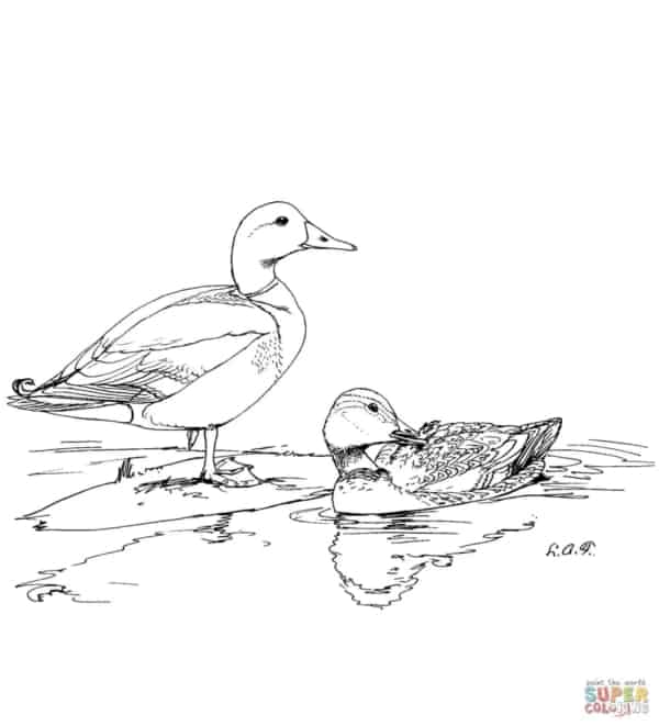 dessin de canards dans l'étang à imprimer