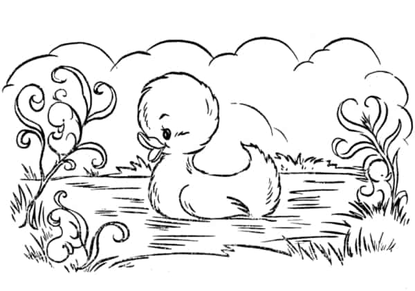 dessin animé de canard dans l & # 39; étang