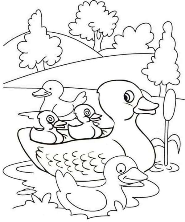 dessin de canard dans l'étang à imprimer gratuitement