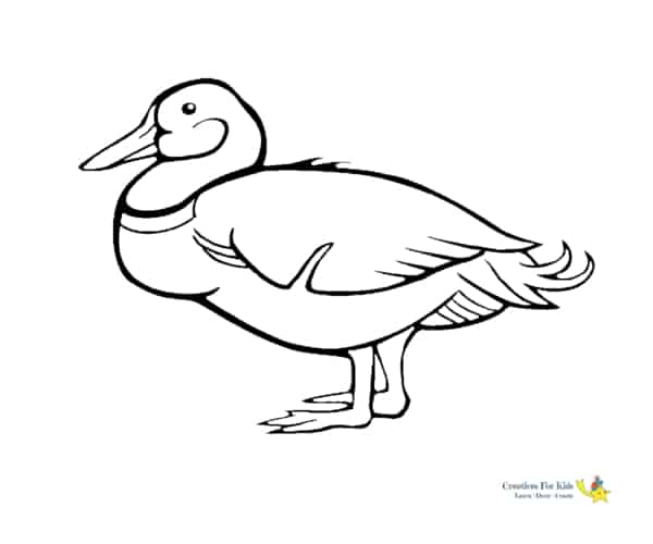 dessin de canard simple à imprimer
