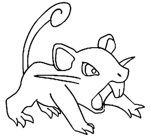 rat