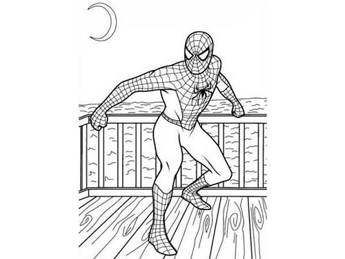 Dessins Spider-Man