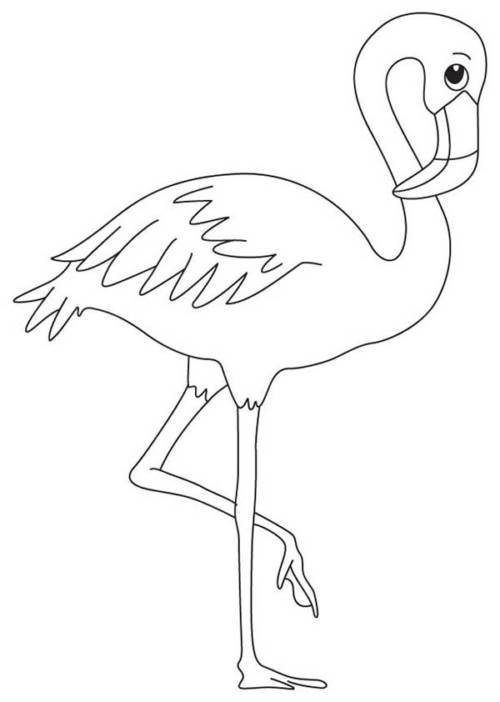 47 dessins amusants de Flamingo à télécharger et à peindre à la maison