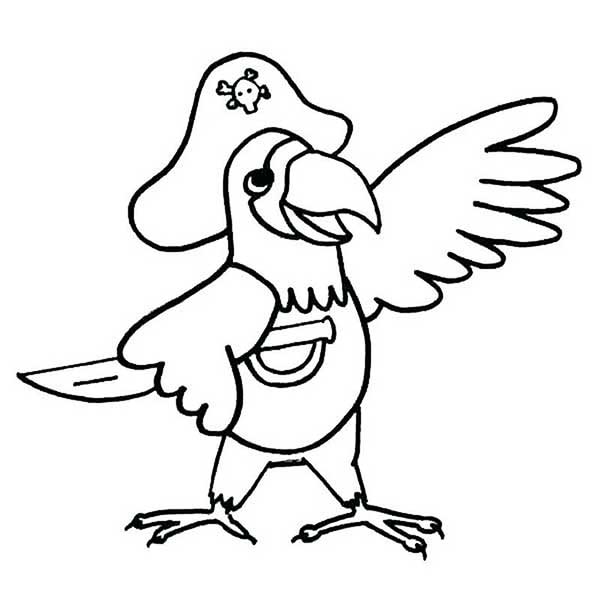 perroquet pirate chasse aux trésors