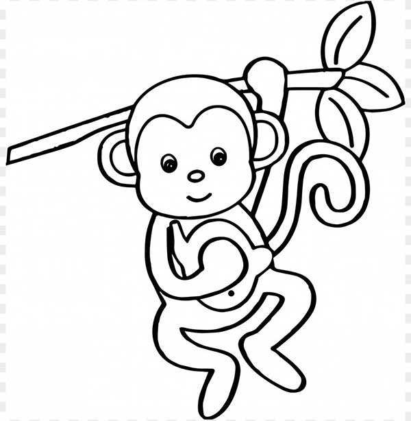 coloriage de petits singes