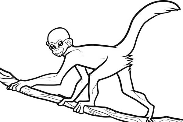 idées de dessin de singe