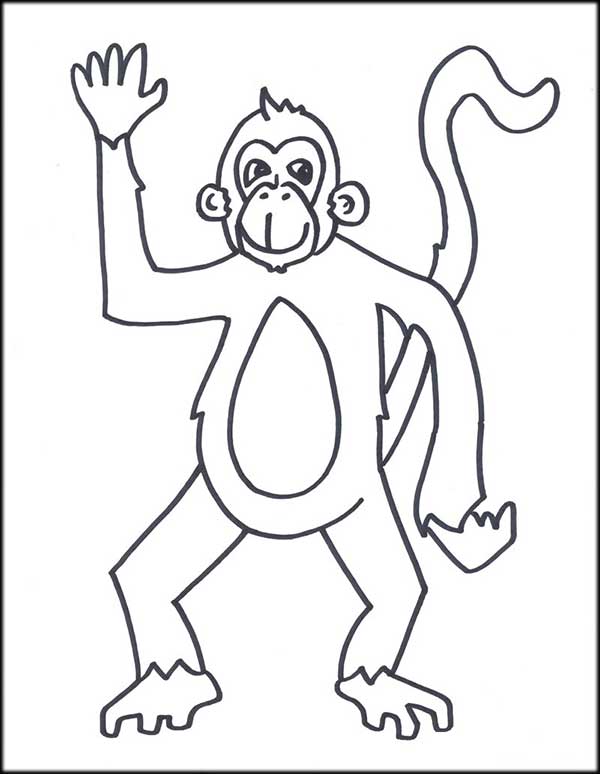 suggestions de dessin de singe