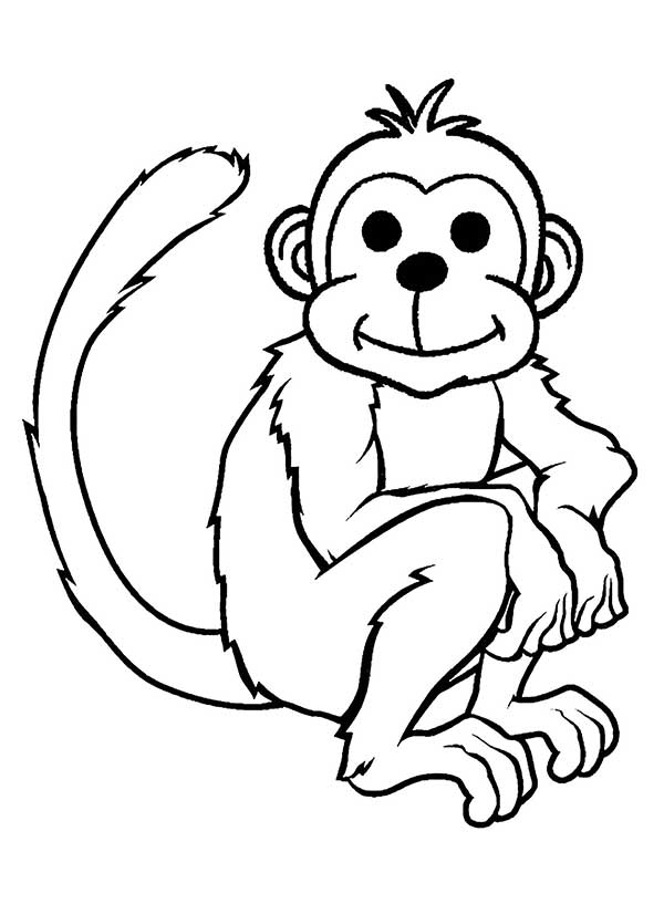 dessins de singes