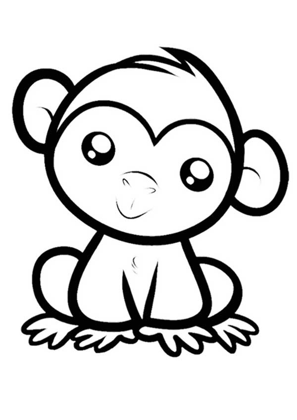 dessins de singes