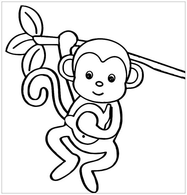 dessins de singes