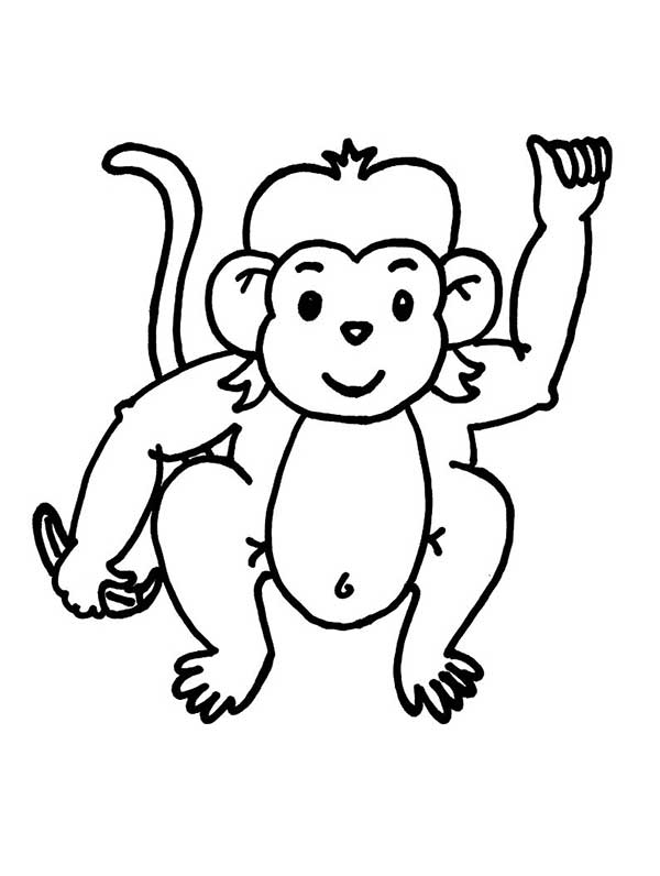 coloriages de singes