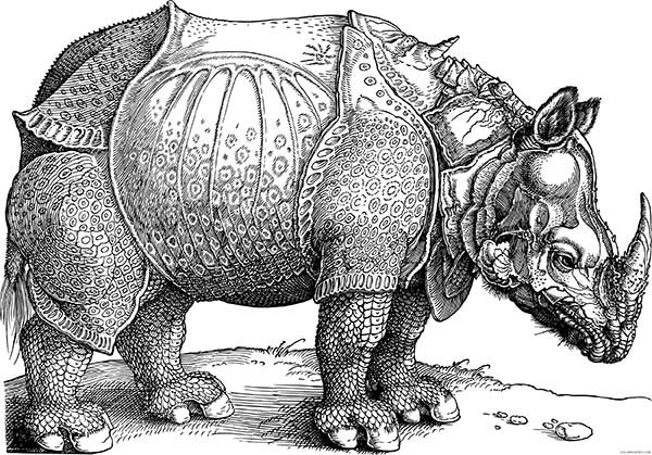 Rhino à peindre