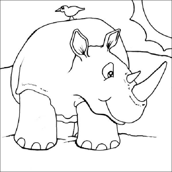 Livre de coloriage de rhinocéros