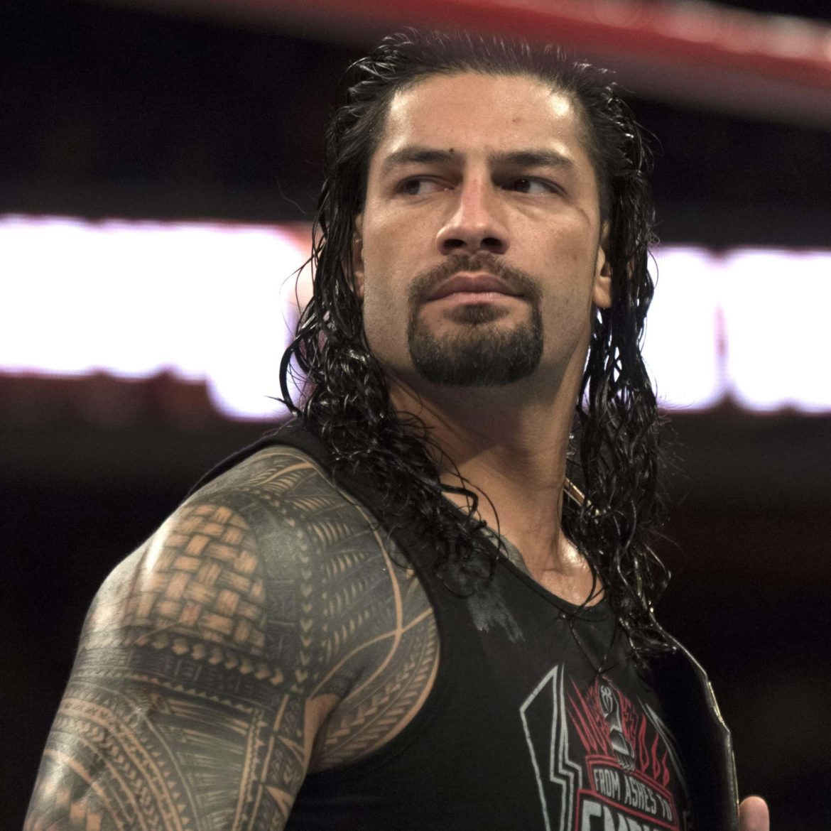 Roman Reigns in 2016