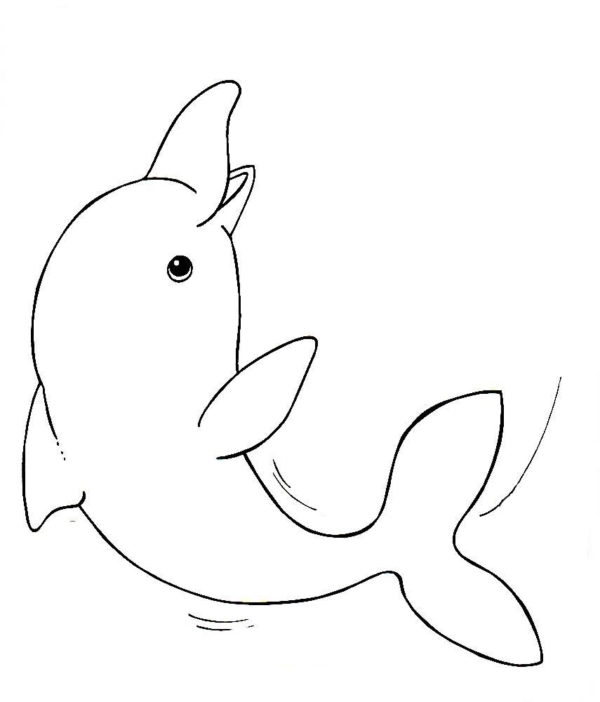 dessin gratuit de dauphin