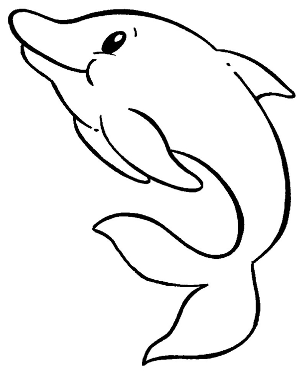 dessin simple du dauphin à peindre