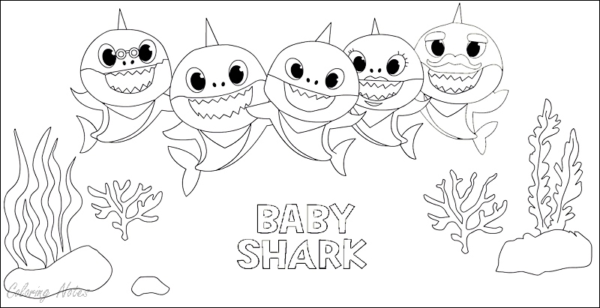activité de coloriage bébé requin