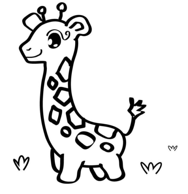 dessin de girafe