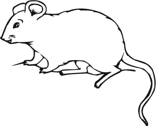 dessin de souris à imprimer gratuitement