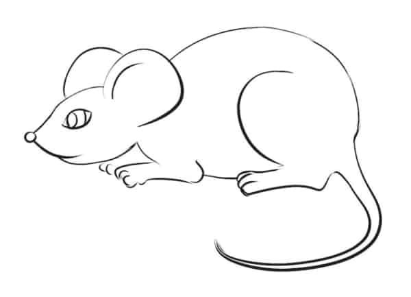 coloriage de souris simple