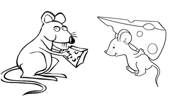 souris avec des pages à colorier de fromage gratuitement
