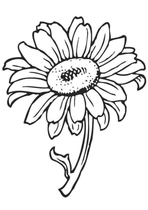 fleur de tournesol avec tige à colorier