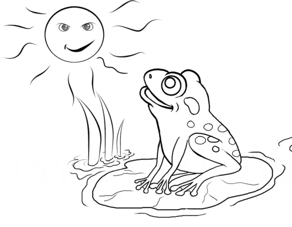 grenouille avec soleil