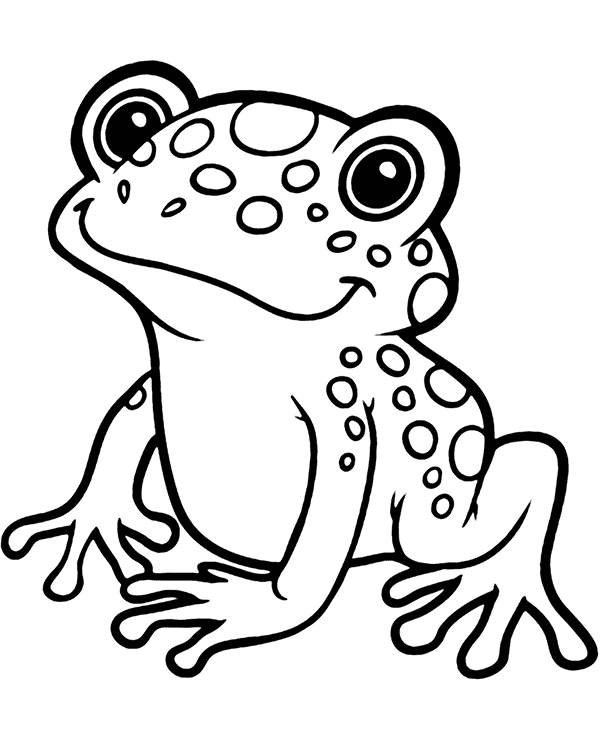 grenouille coloriage page4