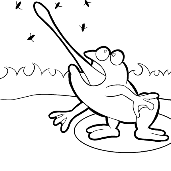 grenouille coloriage page 8