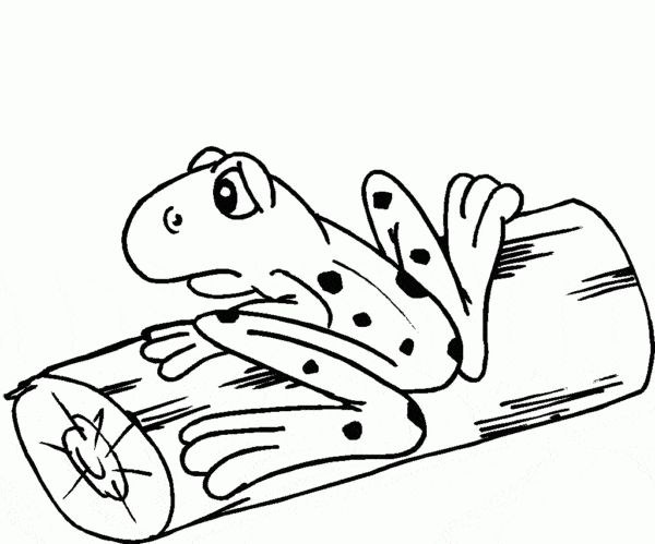 grenouille triste