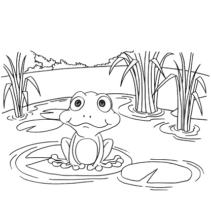 grenouille dans l'étang