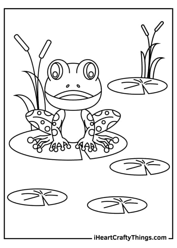 dessin de grenouille