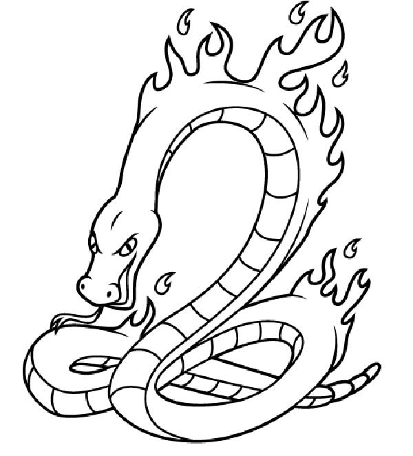 Boitata pour colorer le feu