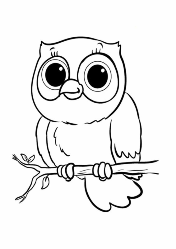 Coloriage 5 chouette sur la branche