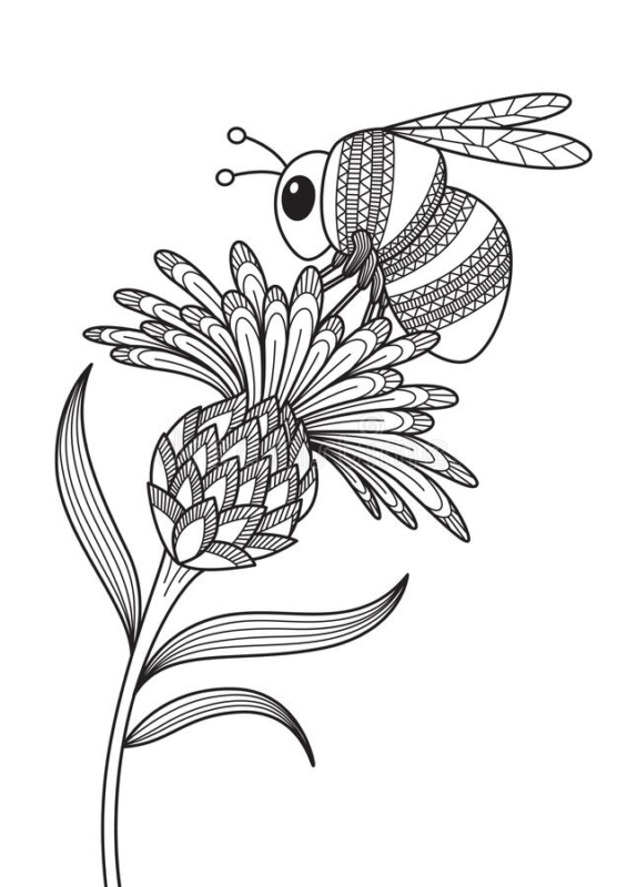 27 dessin d'abeille perchée sur une fleur