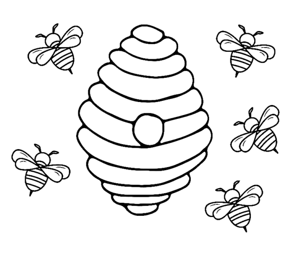 36 coloriages d'activité de la ruche