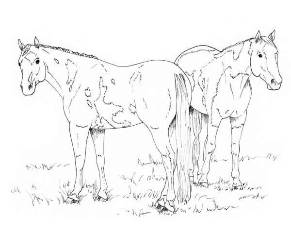 Activité 8 chevaux à peindre