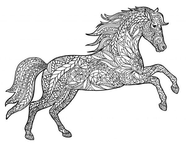 Activité de 32 chevaux avec détails à colorier