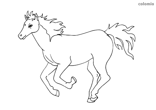 36 dessin simple de cheval au galop