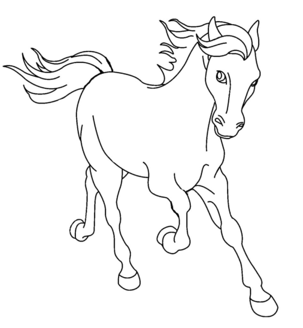 41 coloriages de chevaux au galop à imprimer