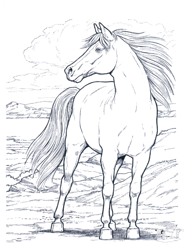 49 dessins de chevaux sauvages à imprimer gratuitement