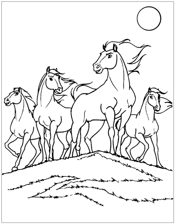 Coloriage 51 chevaux sauvages