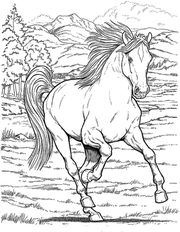 47 coloriages d'activités de chevaux sauvages