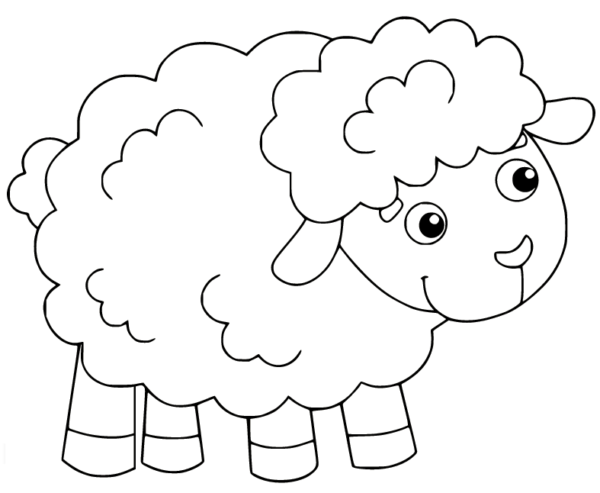Activité 5 moutons à colorier
