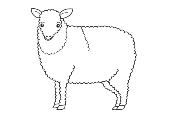 8 coloriages de moutons à imprimer et colorier