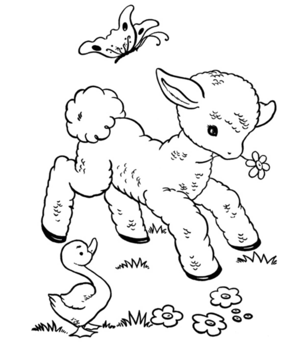 13 jolis coloriages de petits moutons