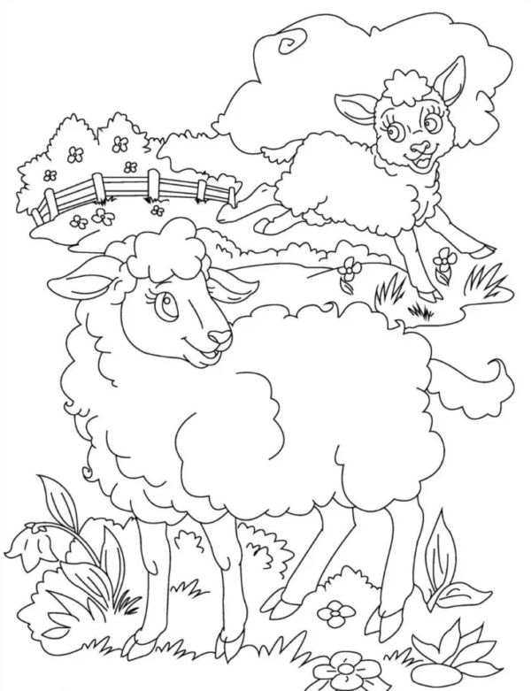 23 moutons dans le champ à imprimer et colorier