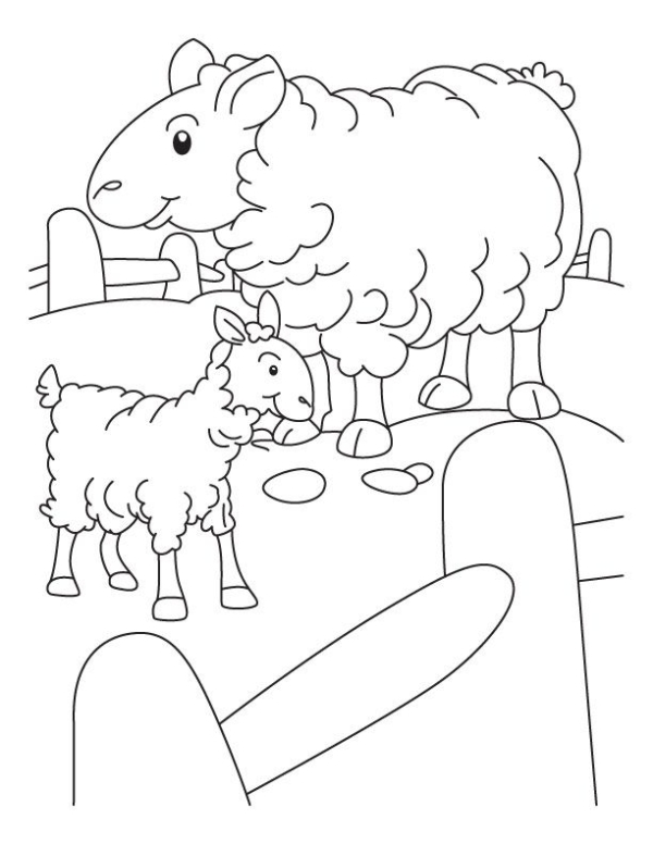 27 dessin de moutons et de petits dans le champ