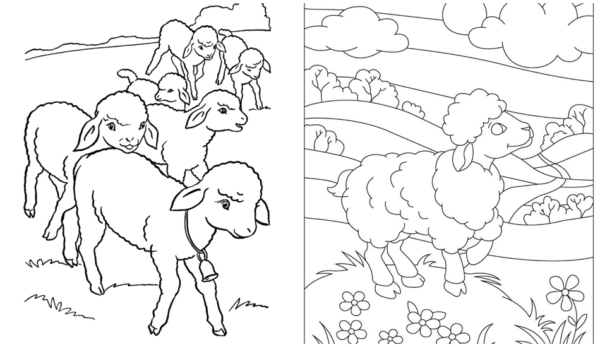 30 dessins de moutons dans le pré