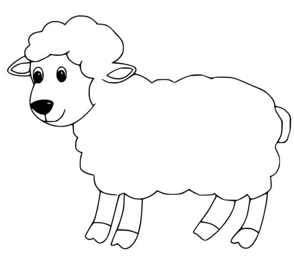 4 dessins de moutons simples à imprimer et à colorier